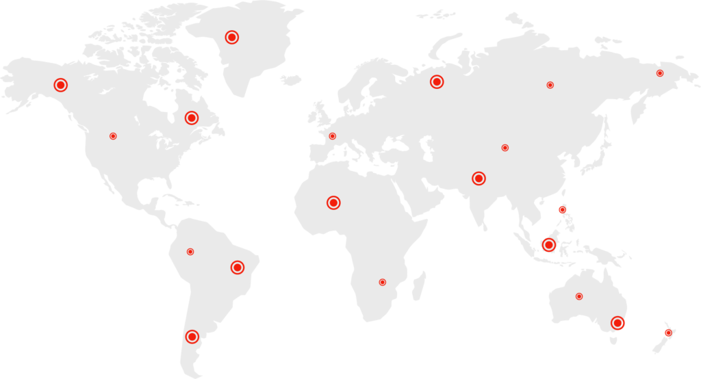 Internationale Fernumzüge Frankfurt